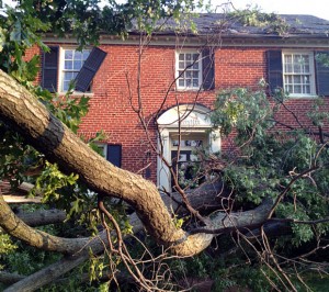 storm damage repair london